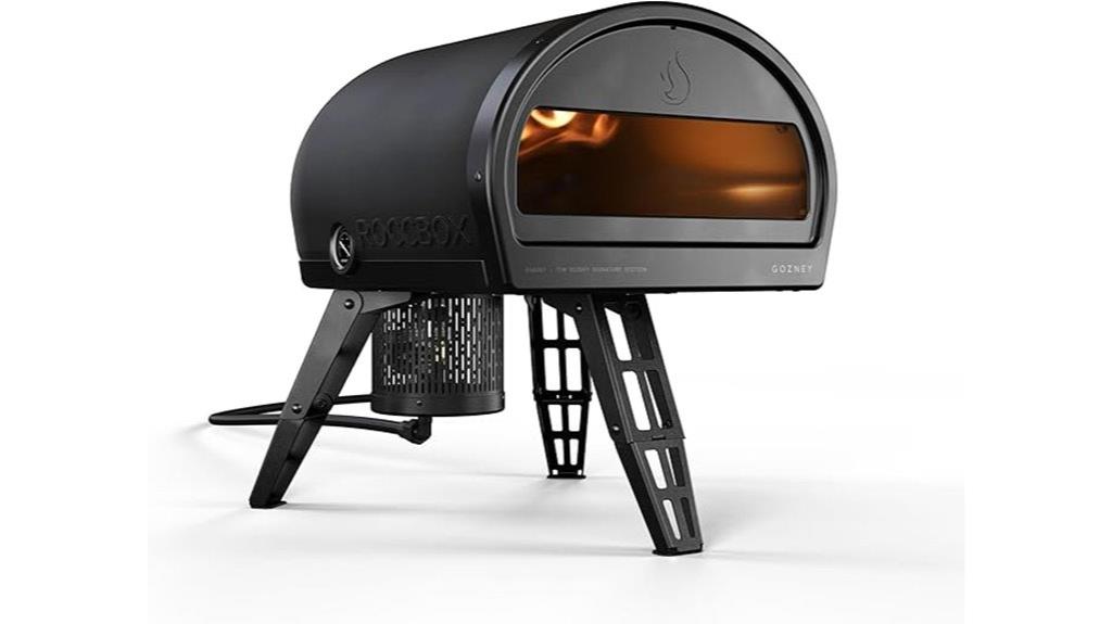 portable professional pizza oven