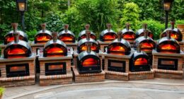 top 15 wood fired pizza ovens
