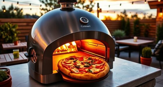 top gas pizza oven picks