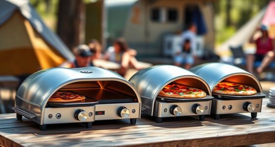 top portable gas pizza ovens
