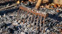 essential for proper raking