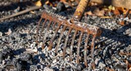 essential for proper raking