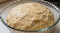 fermentation indicator for dough