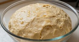 fermentation indicator for dough