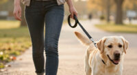 14 Best Hands-Free Dog Leashes in 2026