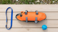 15 Best Dog Life Jackets in 2026