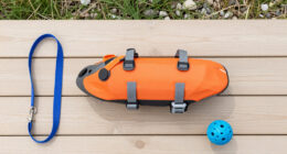 15 Best Dog Life Jackets in 2026