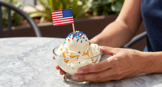 15 Best Patriotic Ice Cream Toppings in 2026