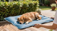 15 Best Pet Cooling Products in 2026