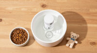 15 Best Pet Water Fountains in 2026