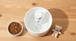 15 Best Pet Water Fountains in 2026