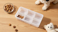 5 Best Pet Medication Organizers in 2026