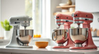 KitchenAid Professional 600 vs Mini: Full Comparison