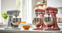 KitchenAid Professional 600 vs Mini: Full Comparison