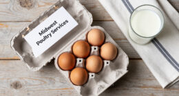 Midwest Poultry Services Egg Recall