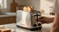 Us Canada Panasonic Toaster Recall