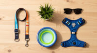 10 Best Dog Walking Accessories in 2026