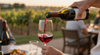 Wine: 1.45 Billion In Revenue At A Crossroads Between Funding, Disposals And New Shareholders