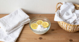 12 Best Natural Laundry Whiteners in 2026