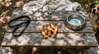 15 Best Chicken Wrapped Dog Treats in 2026