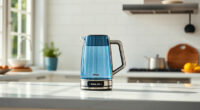 Keep Your Ninja KT200BL Kettle Sparkling & Performing All Summer