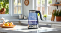 Stay Cool and Brew Perfect Iced Teas with the Ninja KT200BL Electric Kettle