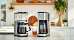 Stay Fresh & Brew Bright: Summer Care Tips for Ninja Hot & Iced XL Coffee Maker