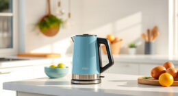Summer Chill: Must-Have Accessories for Your Ninja KT200BL Kettle