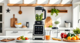 Summer-Ready Accessories for Your Ninja BN805A Pro Plus Kitchen System
