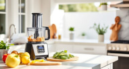 Summer-Ready Accessories for Your Ninja Food Processor