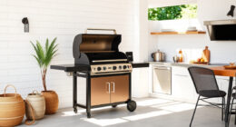 Summer Sizzle: Must-Have Accessories for Your Ninja Woodfire Pro Grill